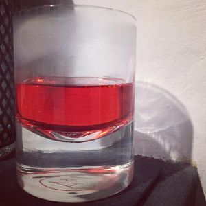 An image of the Cell #34 cocktail submitted by n0tquitethere that contains London Dry Gin, Turin Bitters, St Germain, Peychauds Bitters and Lemon