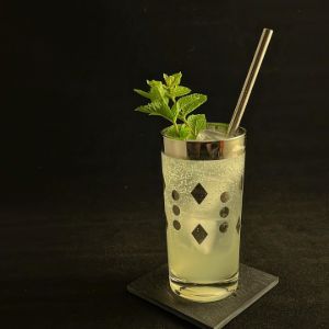 An image of the Mojito cocktail submitted by n0tquitethere that contains Bank's 5 Islands, Simple Syrup, Lime, Mint, Soda Water and Mint