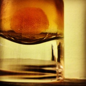 An image of the Old Fashioned cocktail submitted by n0tquitethere that contains Bourbon, Angostura Bitters, Orange and Demerara Syrup