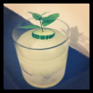 An image of the Old Maid cocktail submitted by n0tquitethere that contains London Dry Gin, Lime, Simple Syrup, Mint, Cucumber and Mint